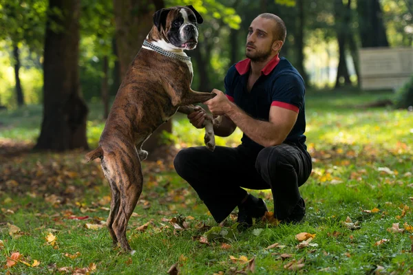 Мужчина играет с собакой в парке — стоковое фото