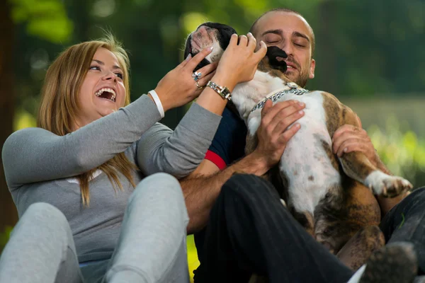 笑顔のカップルと彼女の犬 — ストック写真