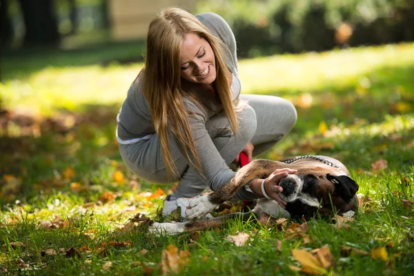 Cane amichevole — Foto Stock