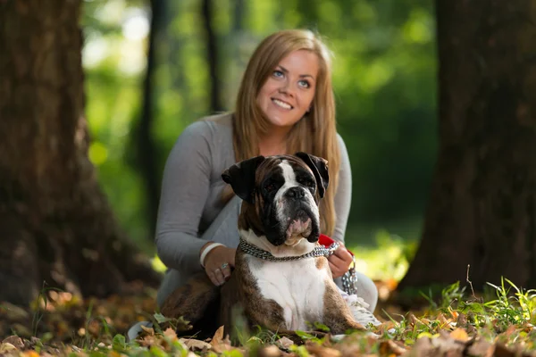 Vänliga hund — Stockfoto