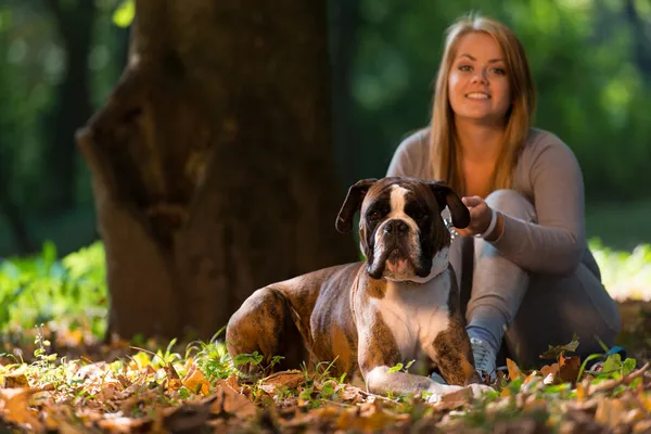 Vriendelijke hond — Stockfoto