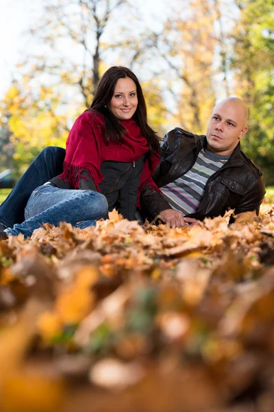 Beautiful Couple In The Park Stock Image