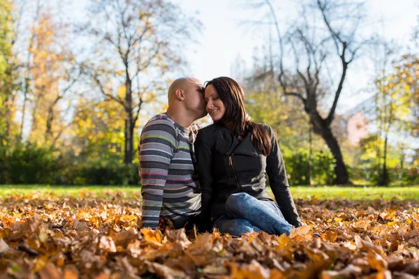 Casal feliz sentados juntos na floresta durante o outono — Fotografia de Stock