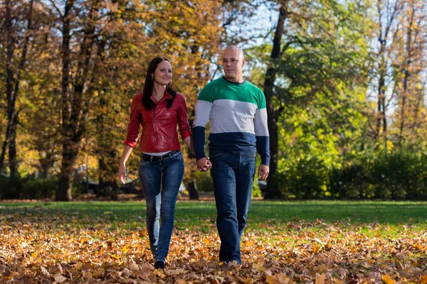 Couple Holding Hands and Walking in the Woods During — Stock Photo, Image