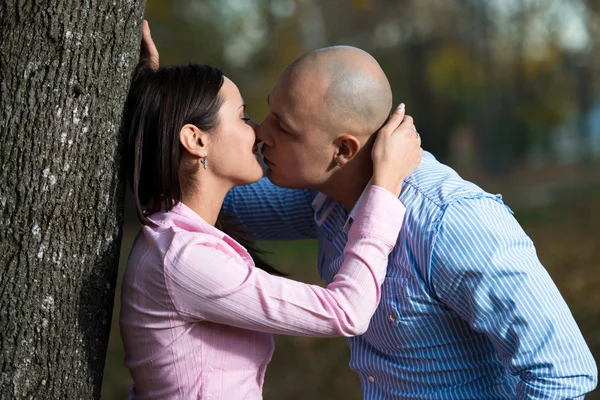 Pareja amorosa — Foto de Stock