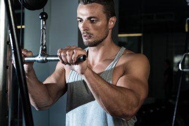 triceps egzersiz