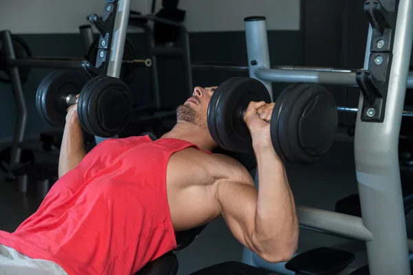 Exercice de bodybuilder avec des poids de main sur le banc — Photo