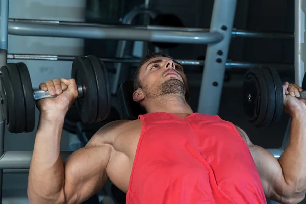 Workout Bench Dumbbell Training — Stock Photo, Image