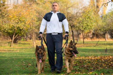 yetişkin adam açık havada onun köpekleri Alman kurdu ile yürüyor