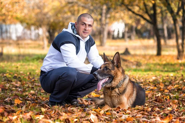 Чоловік грає з Німецька вівчарка собаки в парку — стокове фото