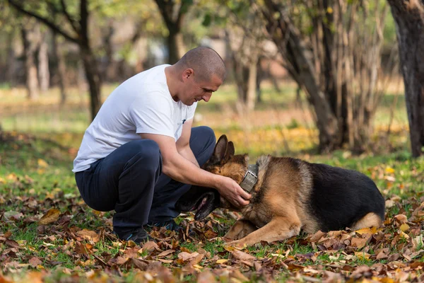 Man With Dog German Shepherd — Stock Photo, Image