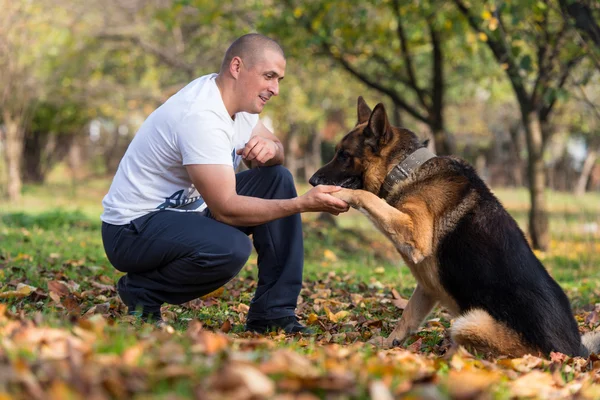 Człowiek i jego pies Owczarek niemiecki — Zdjęcie stockowe