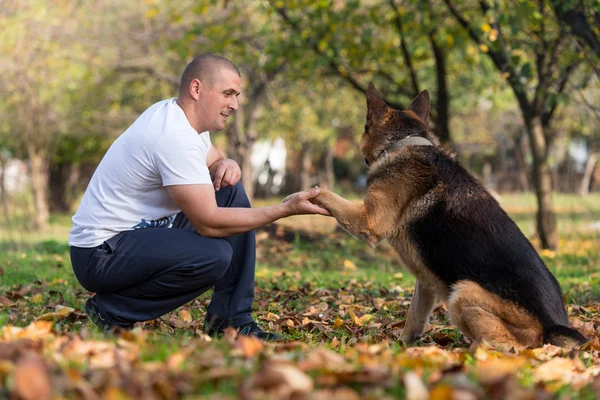 Ανθρώπου που παίζει με το σκυλί Γερμανικός Ποιμενικός στο πάρκο — Φωτογραφία Αρχείου