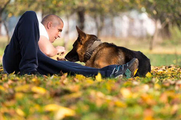 公園で犬ジャーマン ・ シェパードと遊ぶ人 — ストック写真