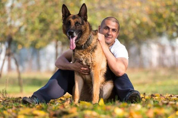 Man spelar med hund Schäfer i park — Stockfoto