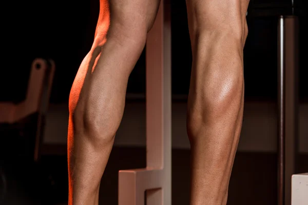 Sporty Legs Calf — Stock Photo, Image