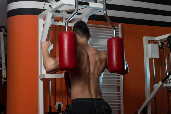 Bodybuilder Doing Heavy Weight Exercise For Back — Stock Photo, Image