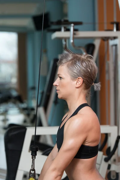 Mujer joven ejercitando tríceps en un club saludable —  Fotos de Stock