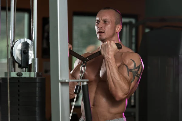 Young Man Exercising Biceps In Healthy Club — Stock Photo, Image