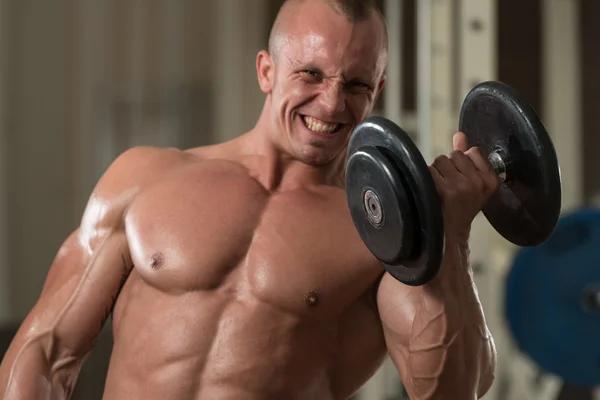 Young Man Working Out Biceps Dumbbell Concentration Curls — Stock Photo, Image