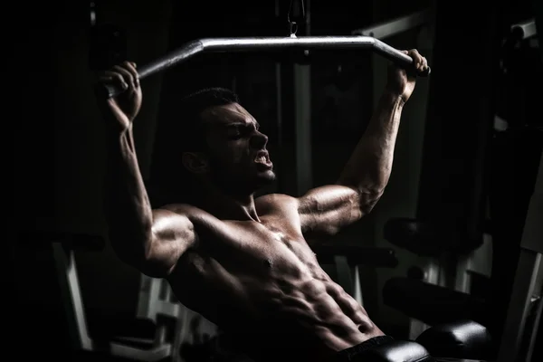 Bodybuilder Doing Heavy Weight Exercise For Back — Stock Photo, Image