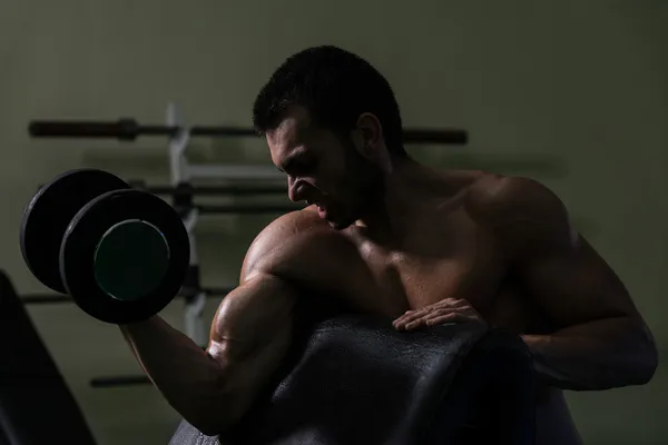 Bodybuilder Exercising Biceps With Dumbbells — Stock Photo, Image