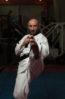Taekwondo fighter poz