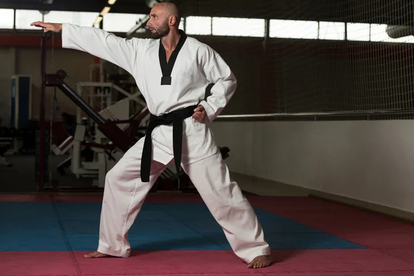 Dojrzały człowiek praktykowania jego karate porusza — Zdjęcie stockowe