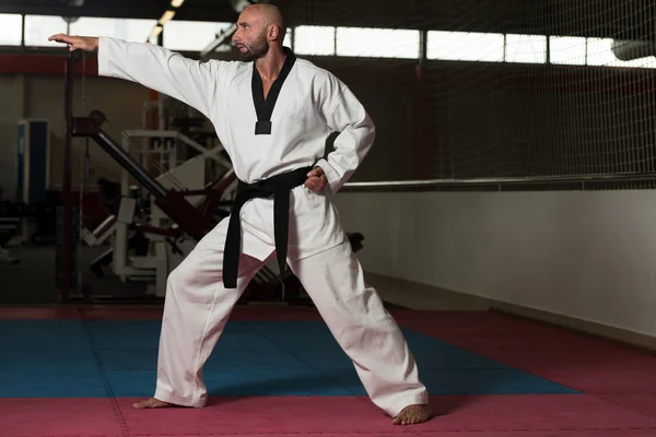 Zralý muž cvičí jeho karate přesune — Stock fotografie