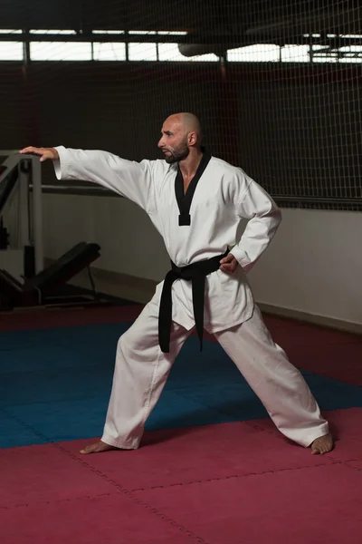 Posa di combattimento di Taekwondo — Foto Stock