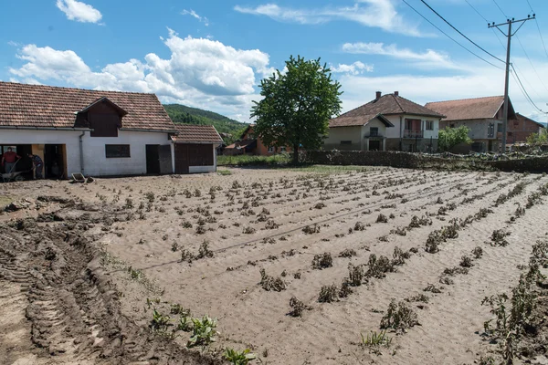 Наводнение в 2014 году - Pridijel - Босния и Герцеговина — стоковое фото