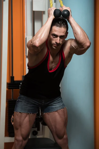 Joven ejercitando tríceps en un club saludable —  Fotos de Stock