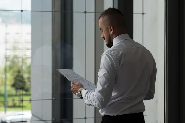 Businessman Viewing Agreement — Stock Photo, Image