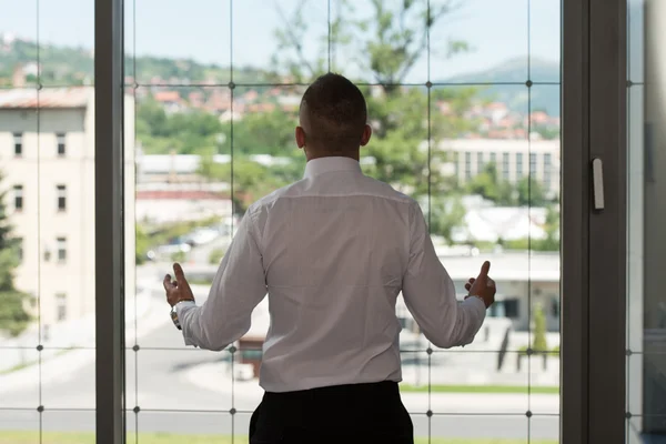 Vista posteriore di un uomo d'affari in piedi in sala riunioni — Foto Stock