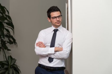 Ofisteki genç iş adamı portresi.