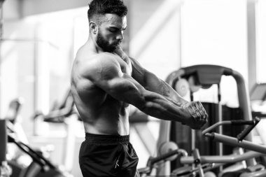 Spor Salonunda Güçlü Duran Genç Adam - Kas Atletik Vücut Geliştirici Spor Sonrası Spor Pozisyonu