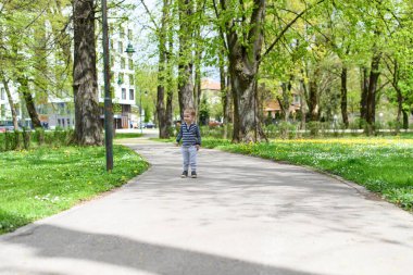 Little Boy Playing in Park - Running and Enjoying in Sunny Day - Happy Moments in Nature