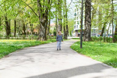 Happy Little Boy Enjoy Playing and Running at the Park - Active Child Having Fun With Outdoor Activity in Summer