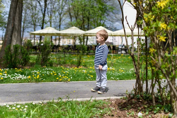 Happy Little Boy Disfruta Jugando Corriendo Parque Niño Activo Divirtiéndose —  Fotos de Stock