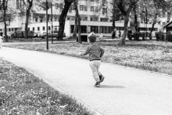 Happy Little Boy Enjoy Playing Running Park Active Child Having — Fotografia de Stock