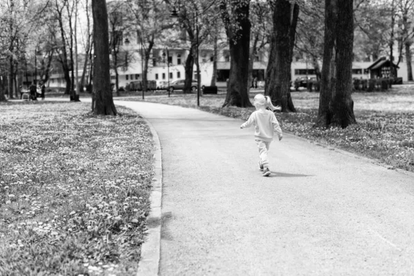 Happy Little Girl Enjoy Playing Running Park Active Child Having — Stockfoto