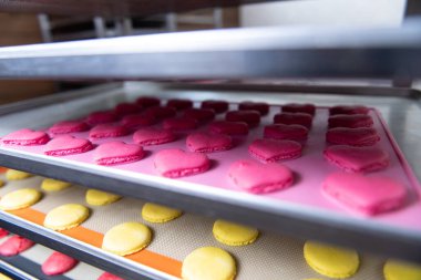 Renkli Makarnaları Kapat Rafta Tatlı