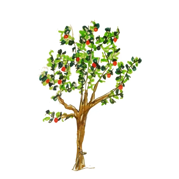 Akvarellträd — Stock vektor