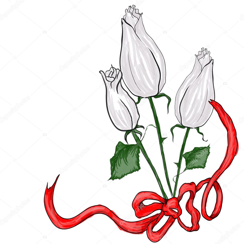 Three white watercolor rose
