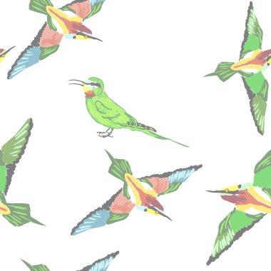 renkli kuşlar ile Seamless Modeli