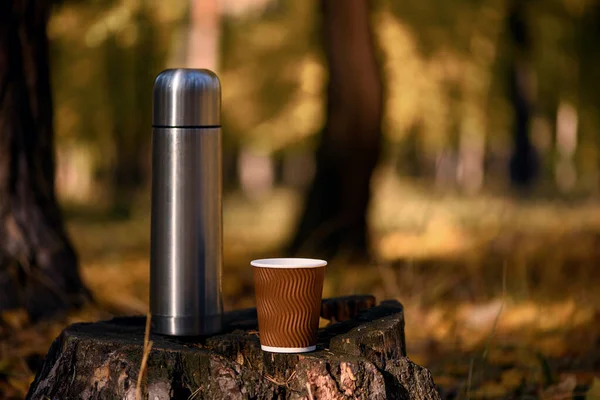 Thermos and disposable paper coffee cup on old tree stump in calm autumn forest