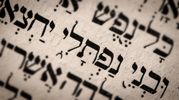 Hebrew Word Torah Page English Translation Name Naphtali Founder Israelite — Stock Photo, Image