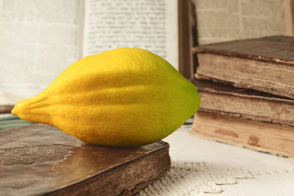 Festival of Sukkot. Book of Leviticus and etrog, symbol of Torah-commanded holiday. Closeup