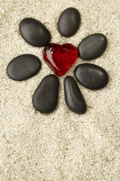 Flower with black stones — Stock Photo, Image