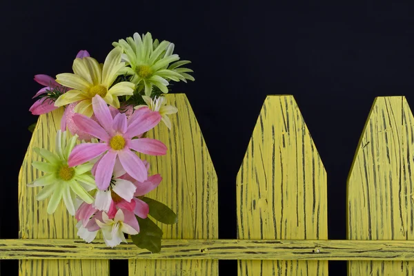 Spring decoration — Stock Photo, Image